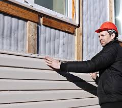 Best Residential Vinyl Siding Installation  in Douglas, GA